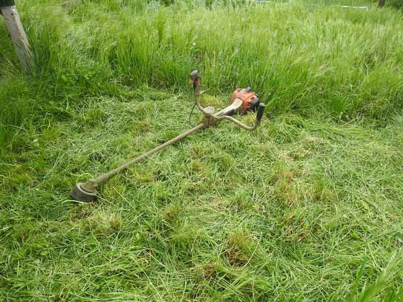 Fűkaszálás STIHL kaszagéppel Fűkaszálás STIHL kaszagéppel